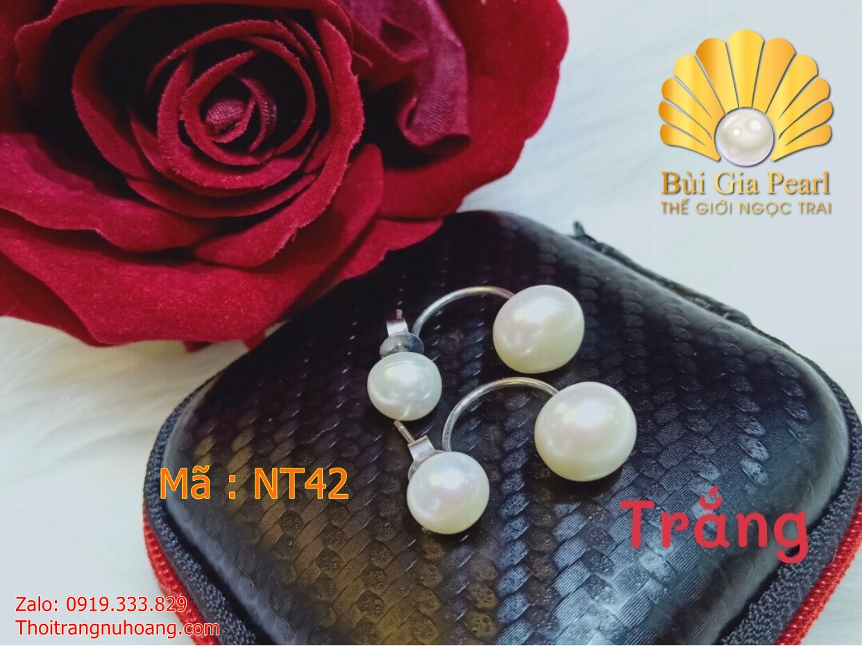 Hoa tai Dior móc trẻ trung , sang trọng và quý phái NT43